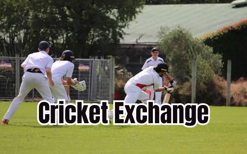 cricket exchange
